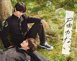 专访上海交通大学沈文忠：告别“政策襁褓”，光伏迎来市场化“成人礼”